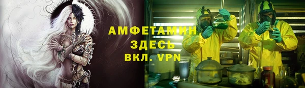 ГАЛЛЮЦИНОГЕННЫЕ ГРИБЫ Осинники