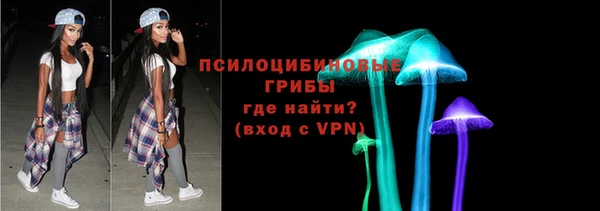 ГАЛЛЮЦИНОГЕННЫЕ ГРИБЫ Осинники